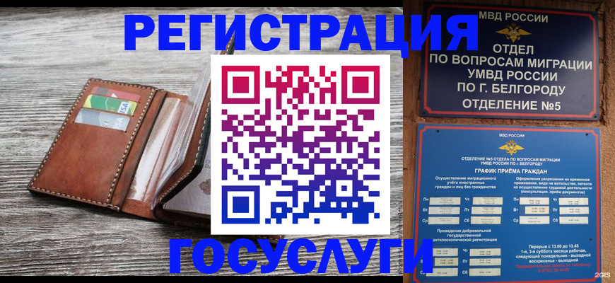 временная регистрация гарантия в Черноголовке